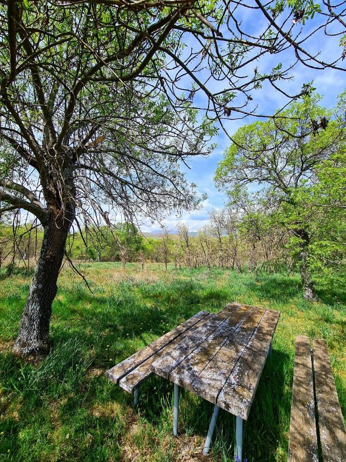 Acogedora Y Romantica Casita En La Sierra Garganta De Los Montes Екстериор снимка