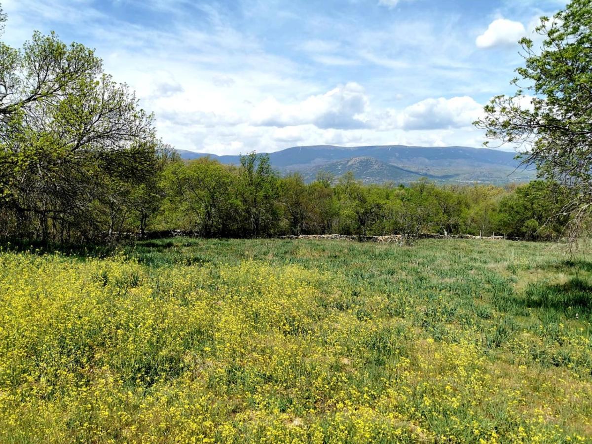 Acogedora Y Romantica Casita En La Sierra Garganta De Los Montes Екстериор снимка