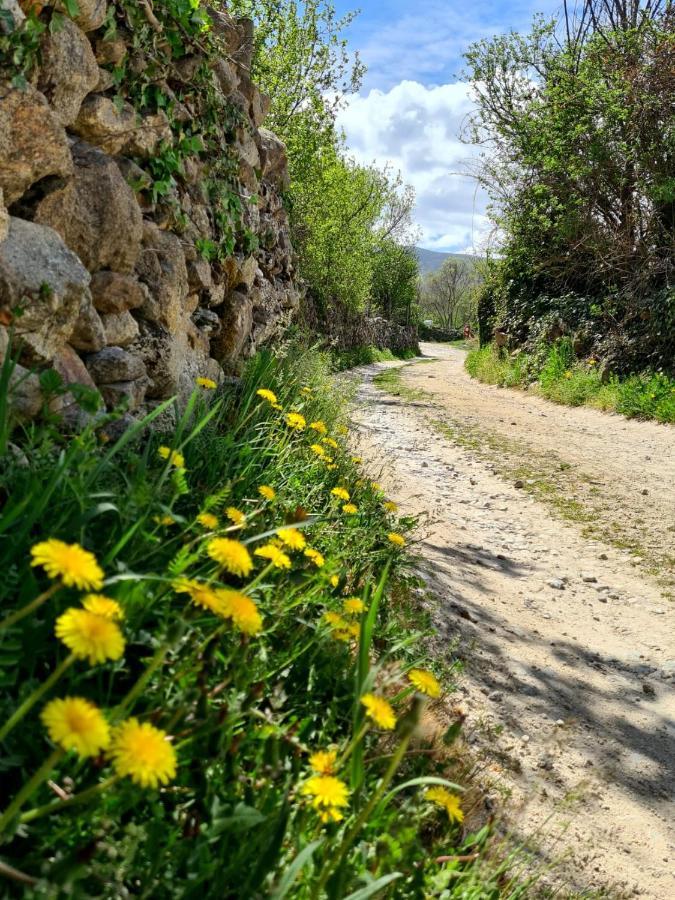 Acogedora Y Romantica Casita En La Sierra Garganta De Los Montes Екстериор снимка